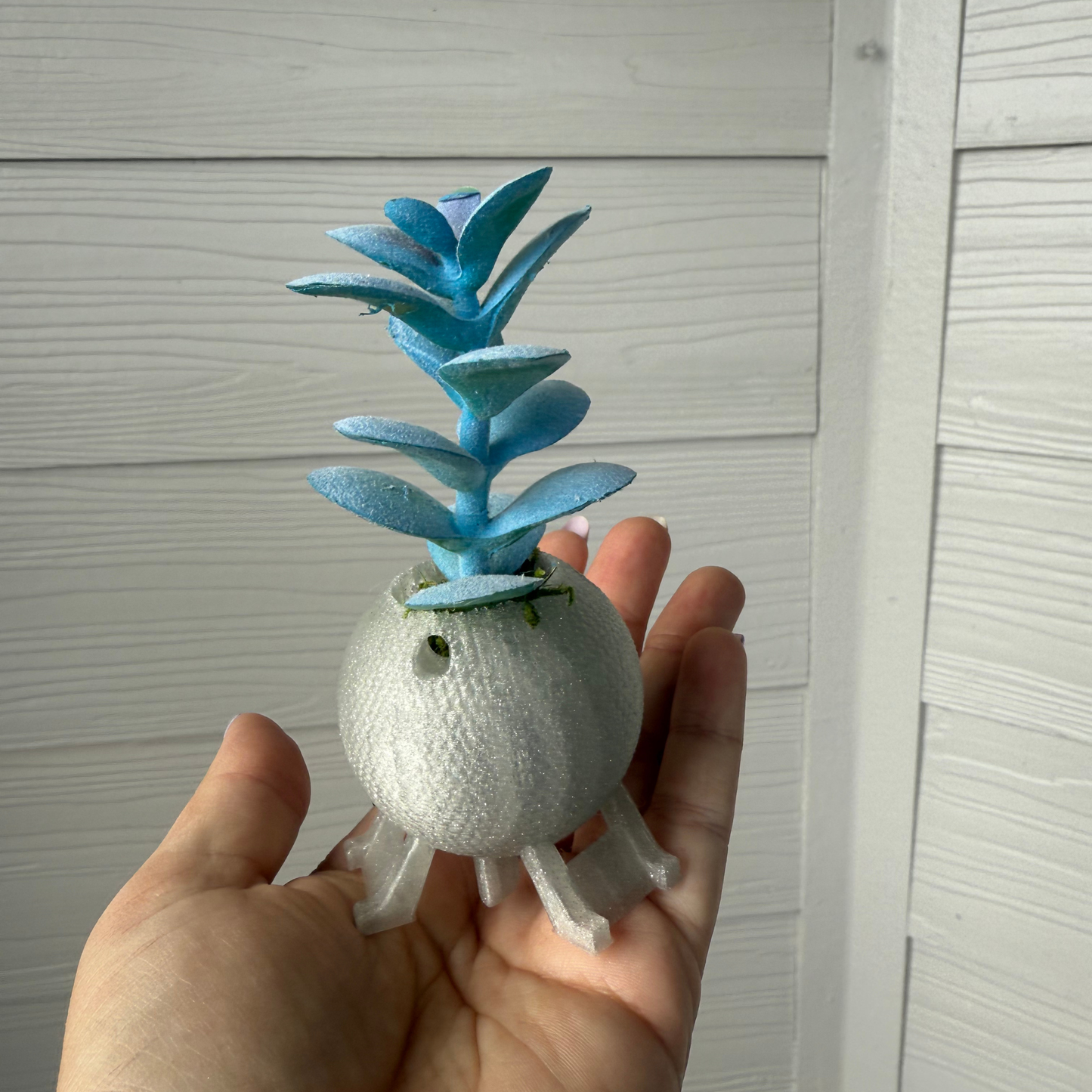 Experimental Prototype Planter