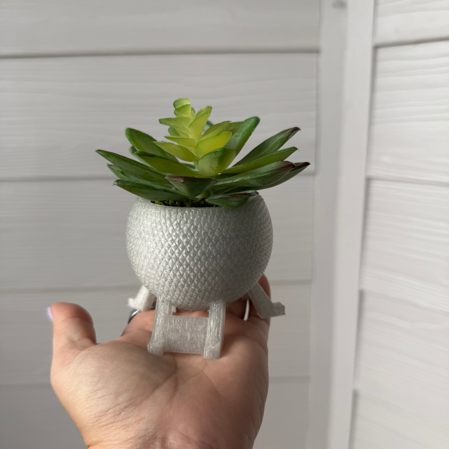 Experimental Prototype Planter