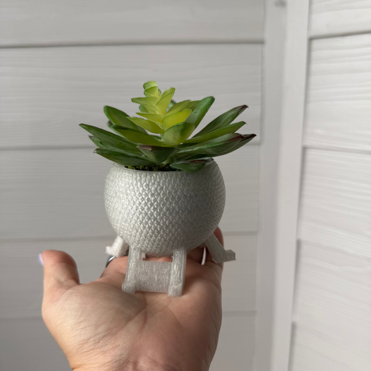 Experimental Prototype Planter