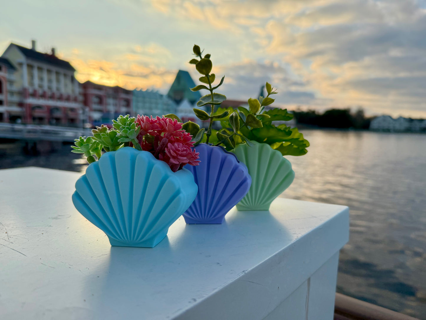 Seashell Planter
