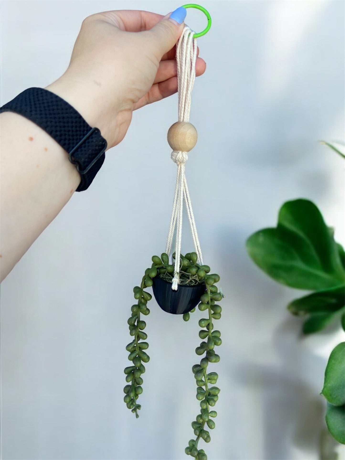 Hanging Teacup Planter